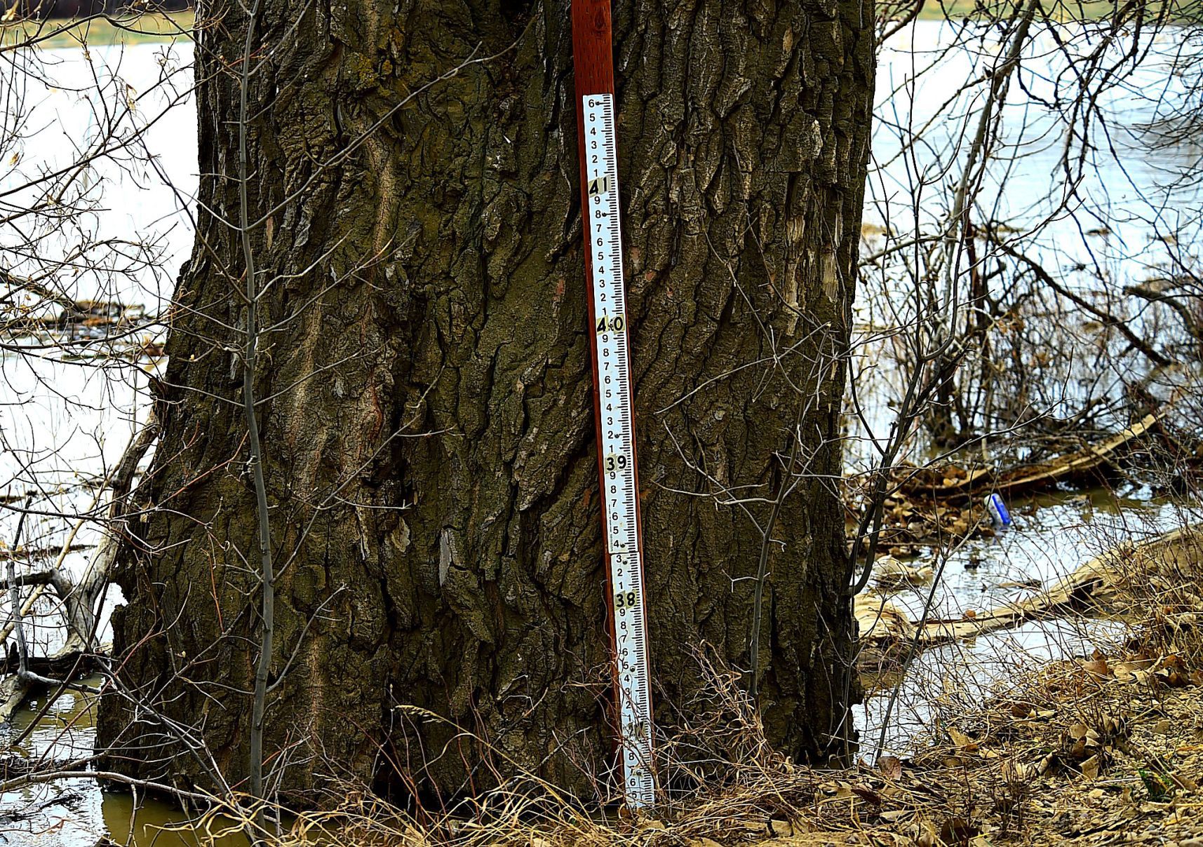 Flood measuring stick